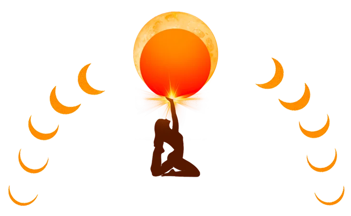 Program coursework and feedback